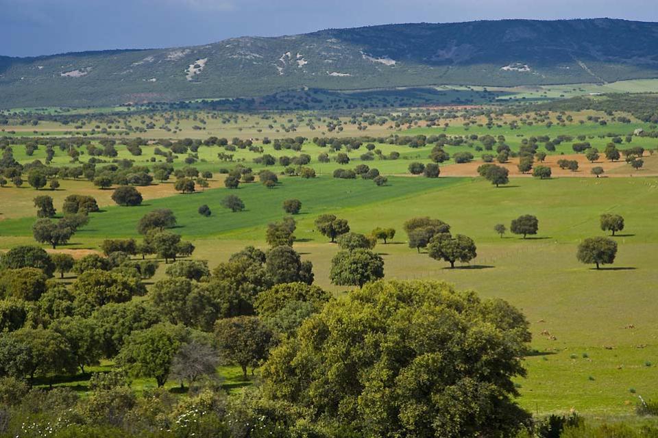 https://mdw-travel-data-us-east-1.s3.amazonaws.com/img/country/Spain/Parque-Nacional-de-Cabaneros/img_01.jpg