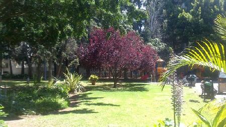 https://mdw-travel-data-us-east-1.s3.amazonaws.com/img/country/Spain/Parque-de-la-Constitucion/img_03.jpg