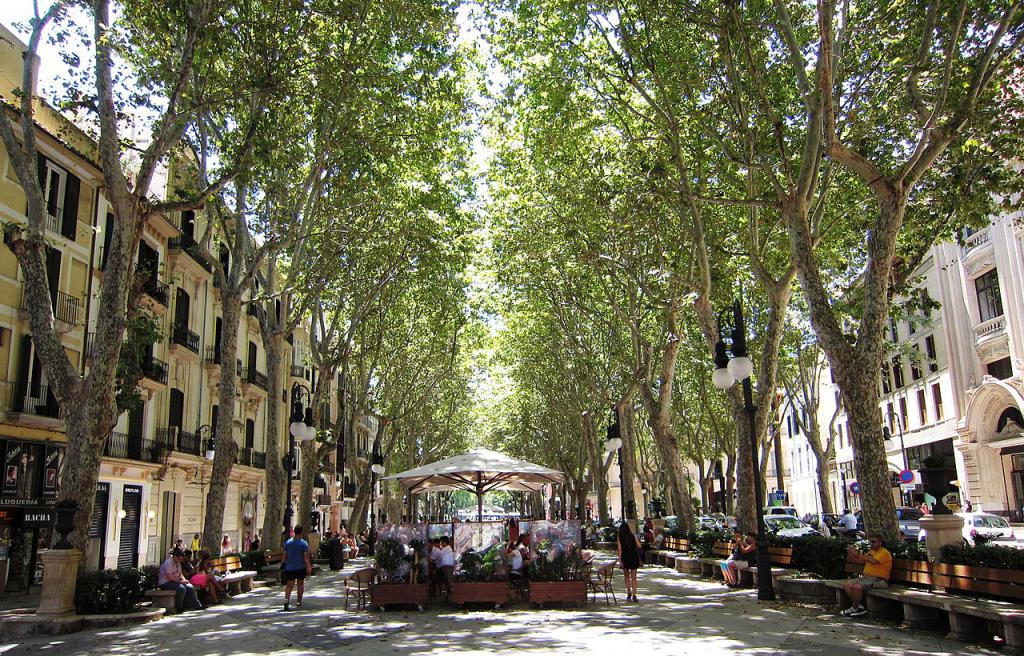 https://mdw-travel-data-us-east-1.s3.amazonaws.com/img/country/Spain/Passeig-des-Born/img_03.jpg