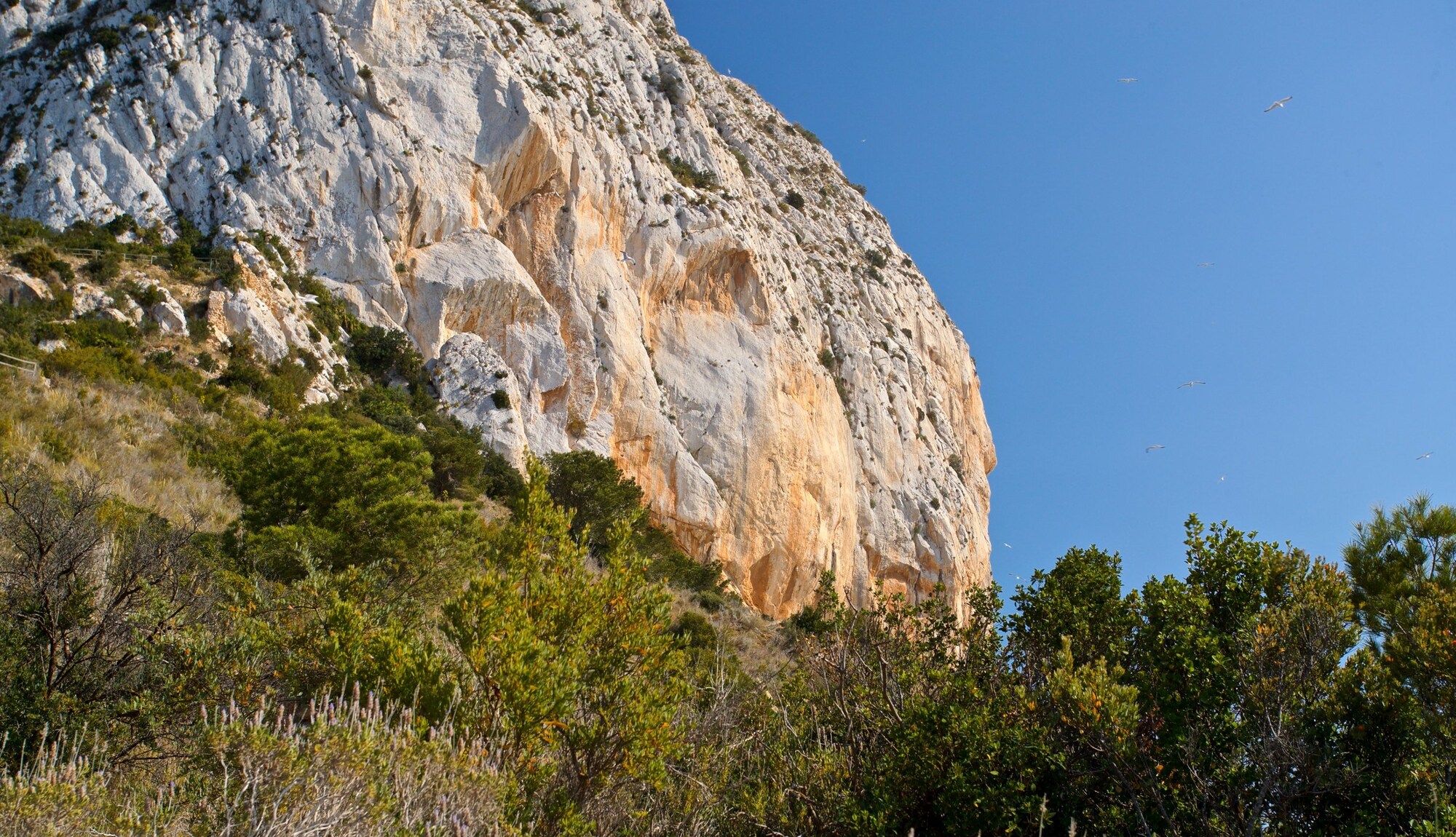 https://mdw-travel-data-us-east-1.s3.amazonaws.com/img/country/Spain/Penon-de-Ifach-Natural-Park/img_04.jpg