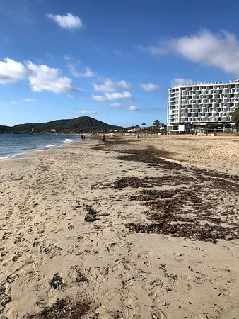 https://mdw-travel-data-us-east-1.s3.amazonaws.com/img/country/Spain/Platja-den-Bossa/img_03.jpg