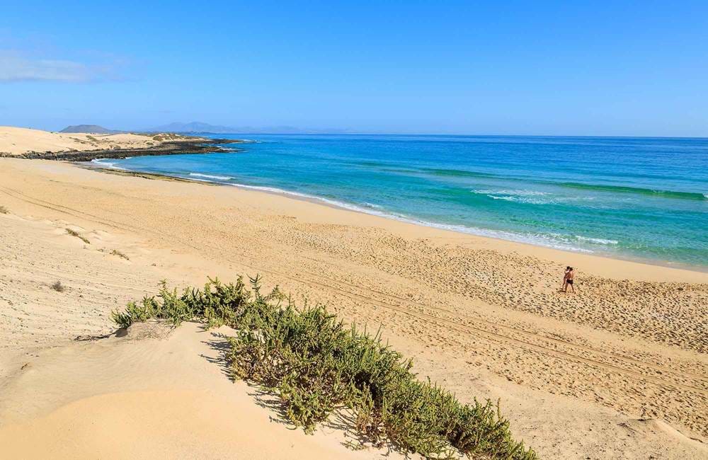 https://mdw-travel-data-us-east-1.s3.amazonaws.com/img/country/Spain/Playa-de-Corralejo/img_03.jpg