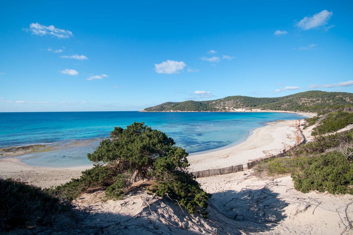 https://mdw-travel-data-us-east-1.s3.amazonaws.com/img/country/Spain/Playa-de-Ses-Salines/img_02.jpg