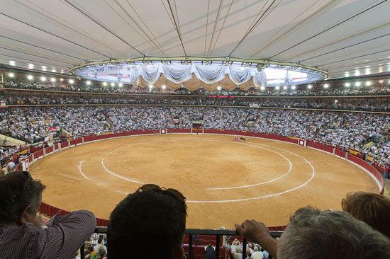 https://mdw-travel-data-us-east-1.s3.amazonaws.com/img/country/Spain/Plaza-de-Toros-de-La-Misericordia/img_02.jpg