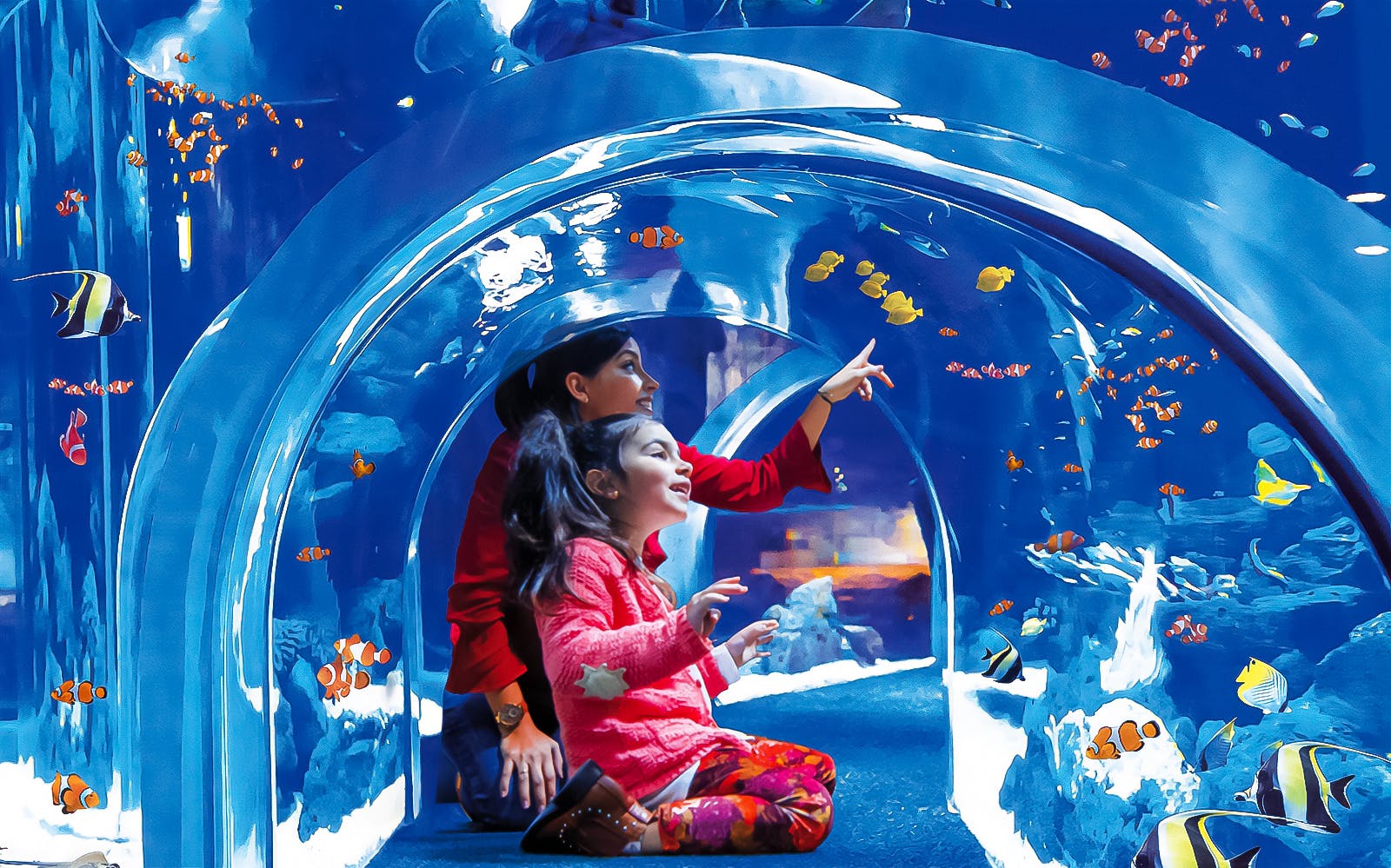 https://mdw-travel-data-us-east-1.s3.amazonaws.com/img/country/Spain/Poema-del-Mar-Aquarium/img_03.jpg