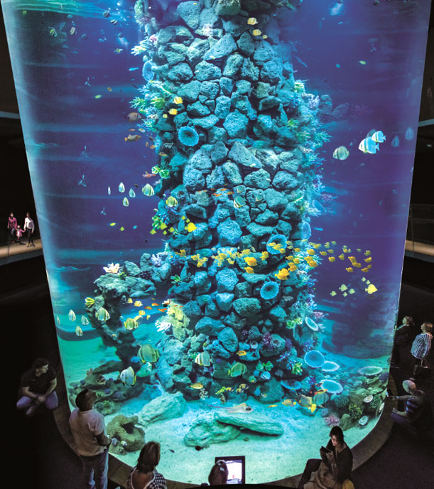 https://mdw-travel-data-us-east-1.s3.amazonaws.com/img/country/Spain/Poema-del-Mar-Aquarium/img_05.jpg
