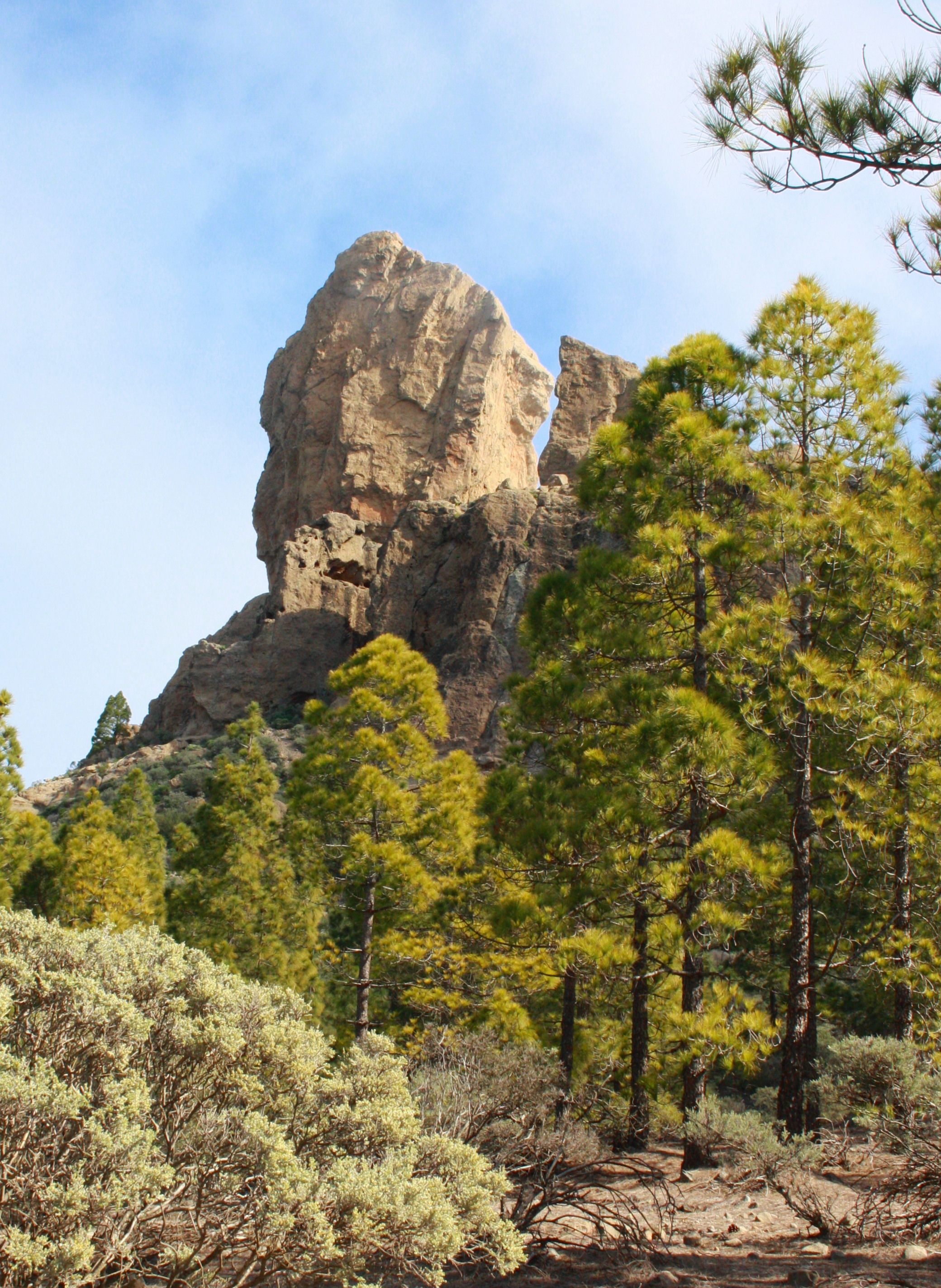 https://mdw-travel-data-us-east-1.s3.amazonaws.com/img/country/Spain/Roque-Nublo/img_01.jpg