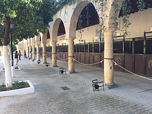 https://mdw-travel-data-us-east-1.s3.amazonaws.com/img/country/Spain/Royal-Stables-of-Cordoba/img_02.jpg
