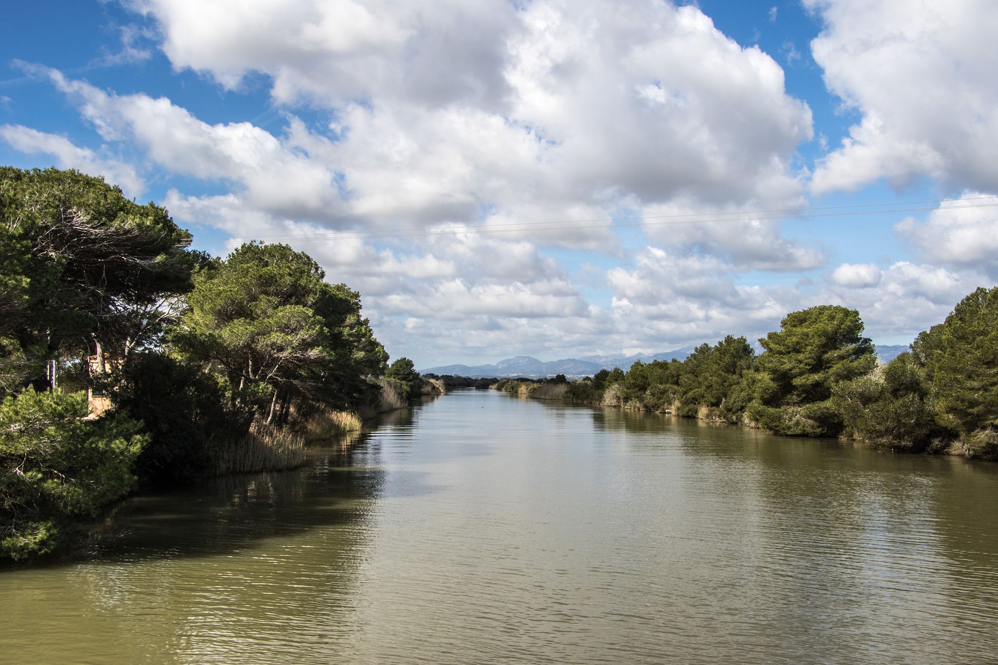 https://mdw-travel-data-us-east-1.s3.amazonaws.com/img/country/Spain/SAlbufera-Natural-Park/img_01.jpg