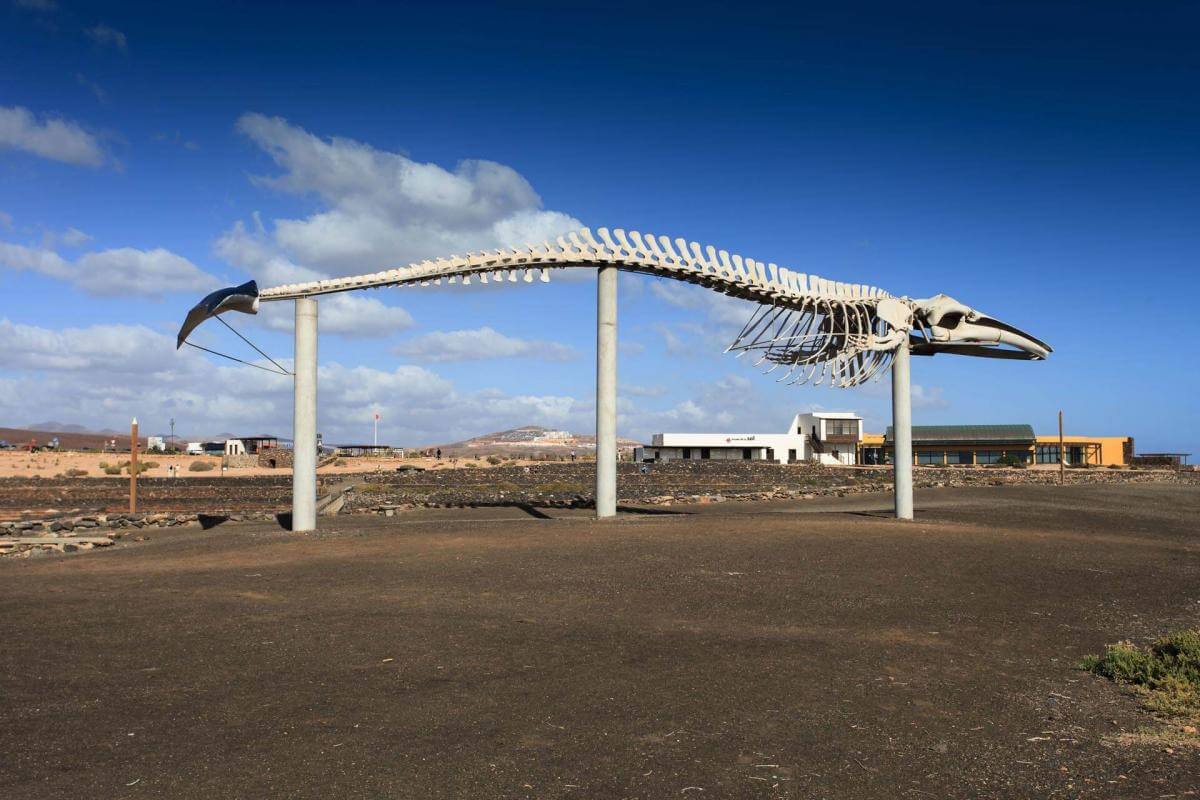 https://mdw-travel-data-us-east-1.s3.amazonaws.com/img/country/Spain/Salt-Museum-of-Salinas-del-Carmen/img_03.jpg