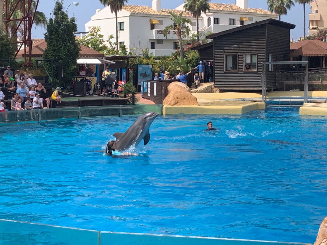 https://mdw-travel-data-us-east-1.s3.amazonaws.com/img/country/Spain/Selwo-Marina/img_03.jpg