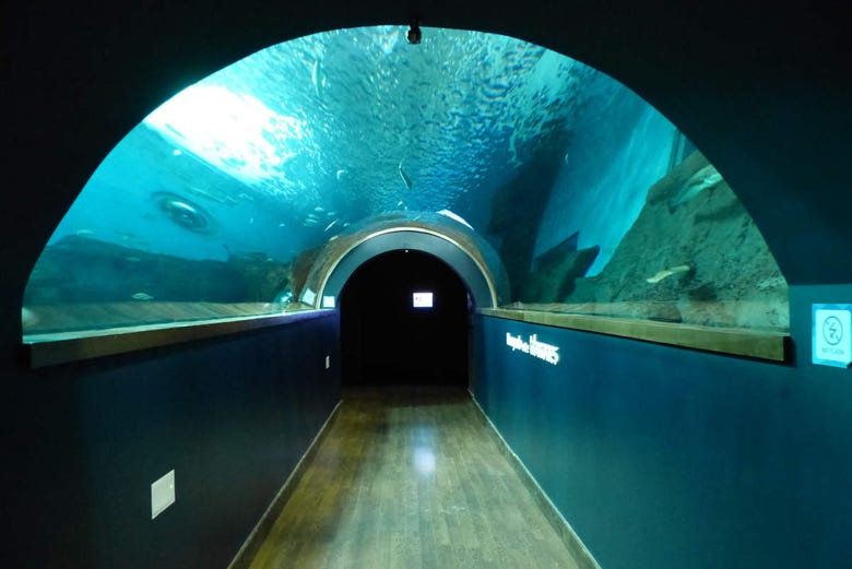 https://mdw-travel-data-us-east-1.s3.amazonaws.com/img/country/Spain/Seville-Aquarium/img_03.jpg