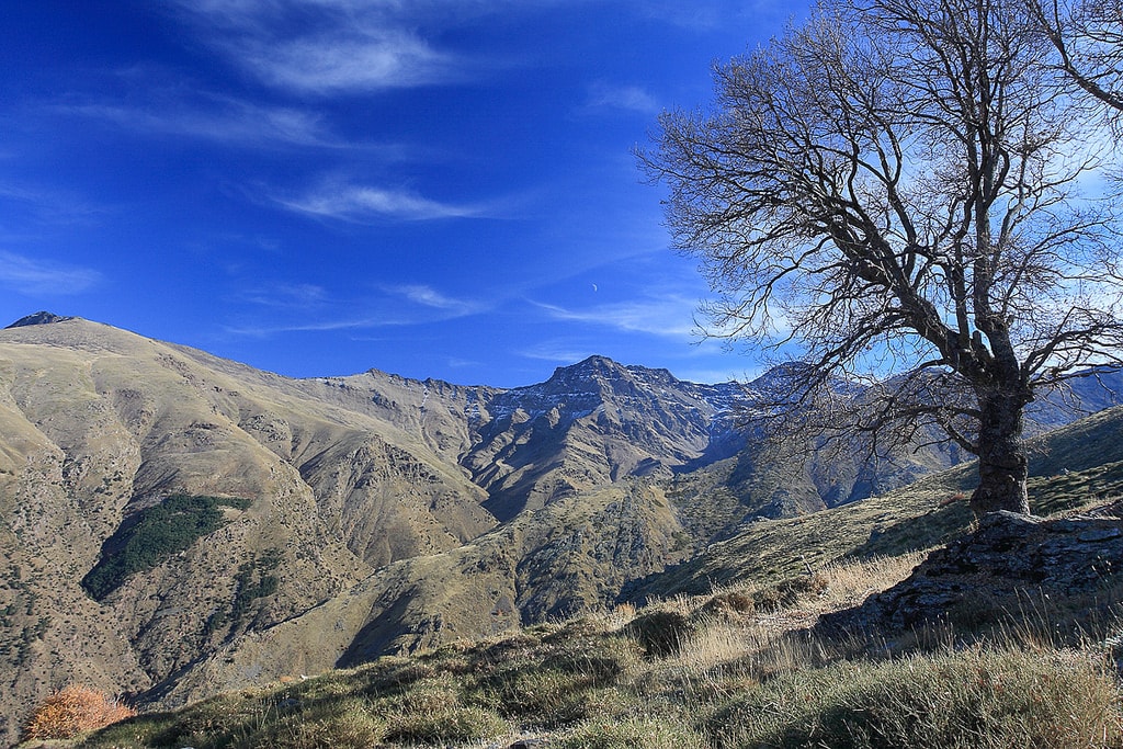 https://mdw-travel-data-us-east-1.s3.amazonaws.com/img/country/Spain/Sierra-de-Espadan-Natural-Park/img_03.jpg