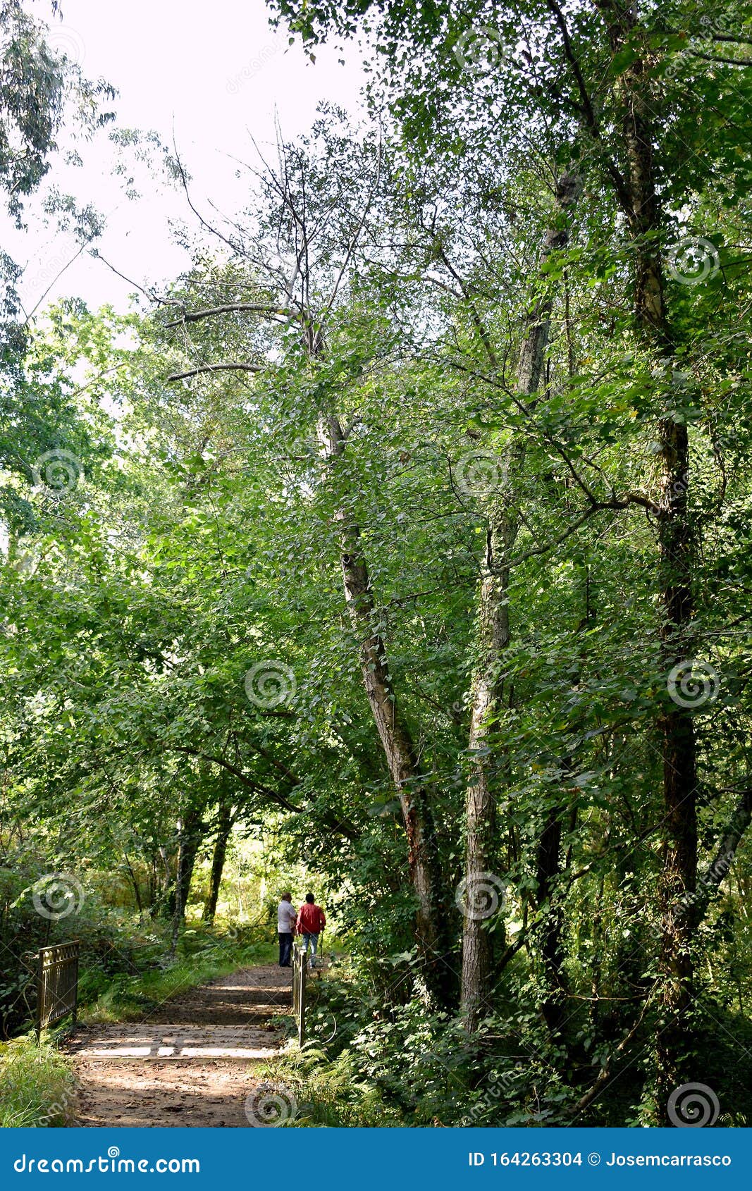 https://mdw-travel-data-us-east-1.s3.amazonaws.com/img/country/Spain/Souto-da-Retorta/img_03.jpg