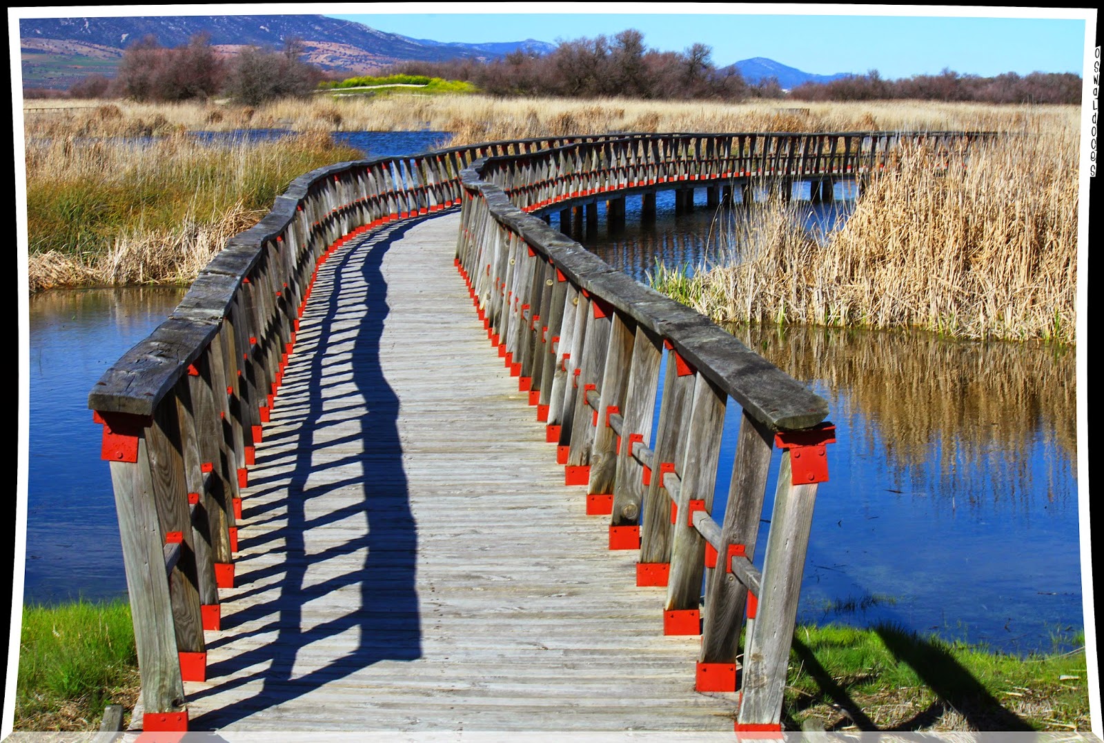 https://mdw-travel-data-us-east-1.s3.amazonaws.com/img/country/Spain/Tablas-de-Daimiel-National-Park/img_01.jpg