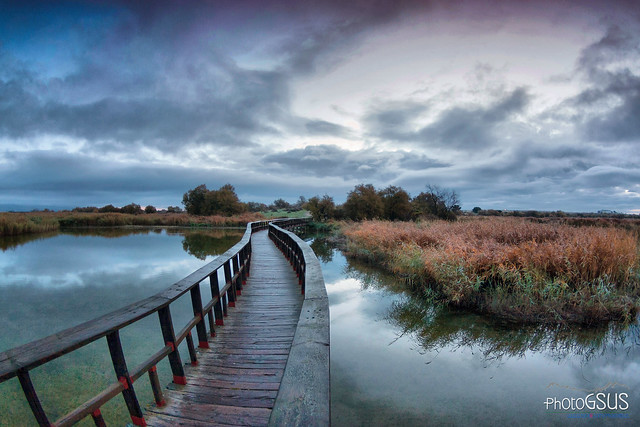 https://mdw-travel-data-us-east-1.s3.amazonaws.com/img/country/Spain/Tablas-de-Daimiel-National-Park/img_02.jpg