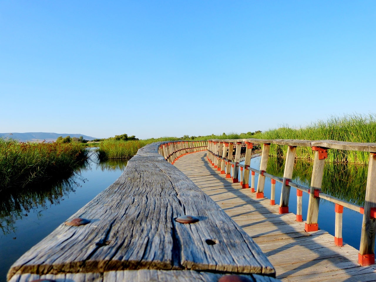 https://mdw-travel-data-us-east-1.s3.amazonaws.com/img/country/Spain/Tablas-de-Daimiel-National-Park/img_03.jpg