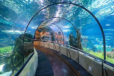 https://mdw-travel-data-us-east-1.s3.amazonaws.com/img/country/Spain/The-Aquarium/img_01.jpg
