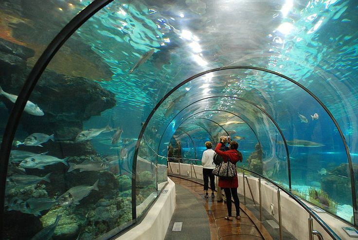 https://mdw-travel-data-us-east-1.s3.amazonaws.com/img/country/Spain/The-Aquarium/img_02.jpg