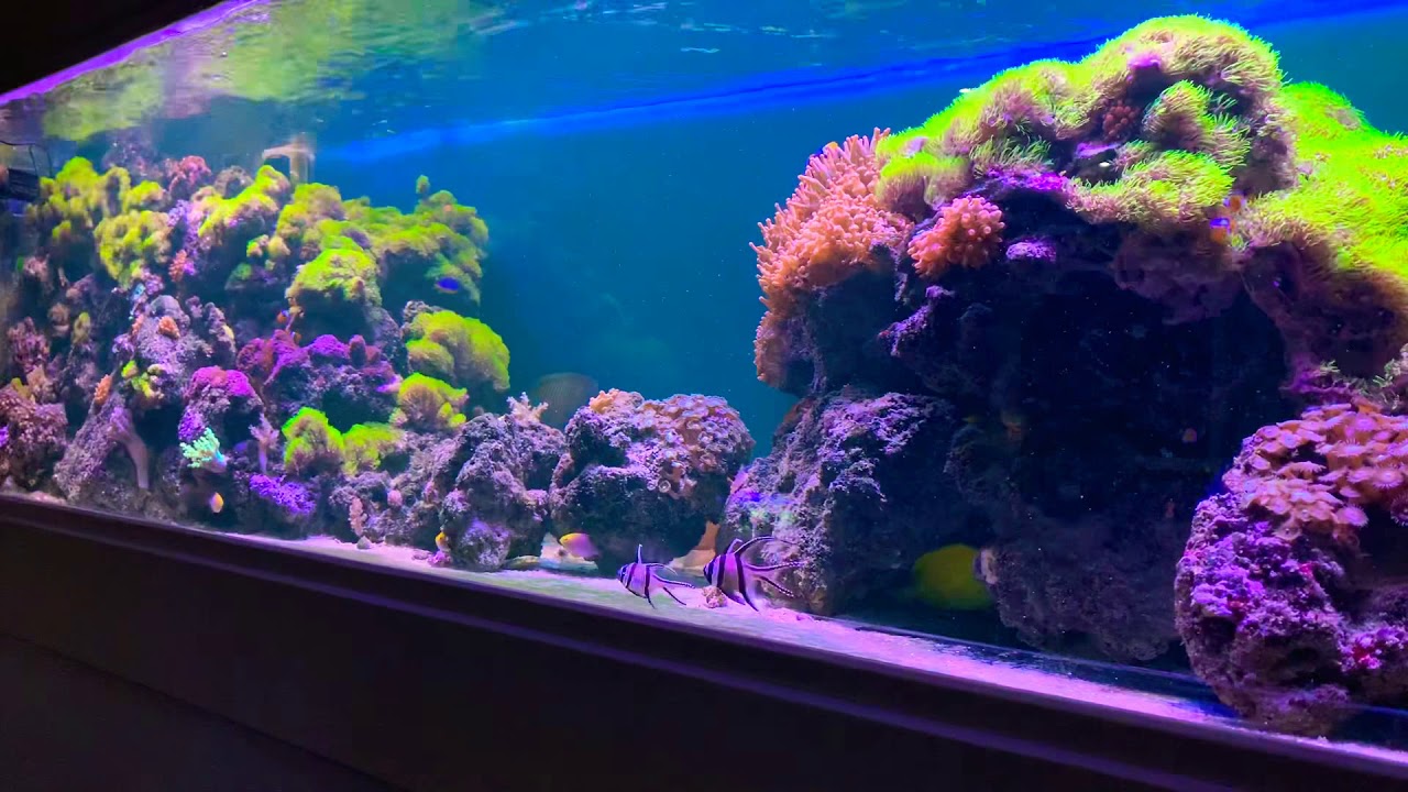 https://mdw-travel-data-us-east-1.s3.amazonaws.com/img/country/Spain/The-Aquarium/img_04.jpg