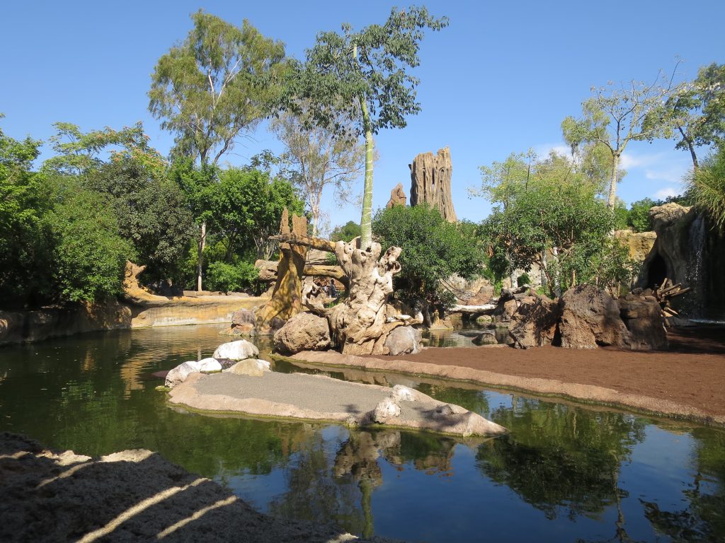 https://mdw-travel-data-us-east-1.s3.amazonaws.com/img/country/Spain/Valencia-Bioparc/img_02.jpg