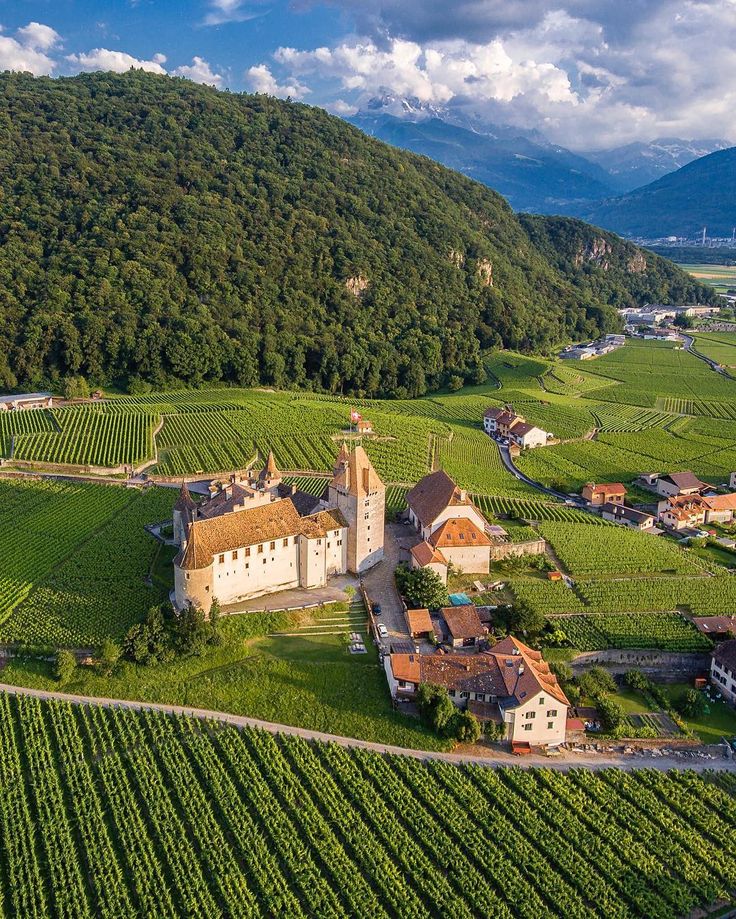 https://mdw-travel-data-us-east-1.s3.amazonaws.com/img/country/Switzerland/Aigle-Castle/img_01.jpg