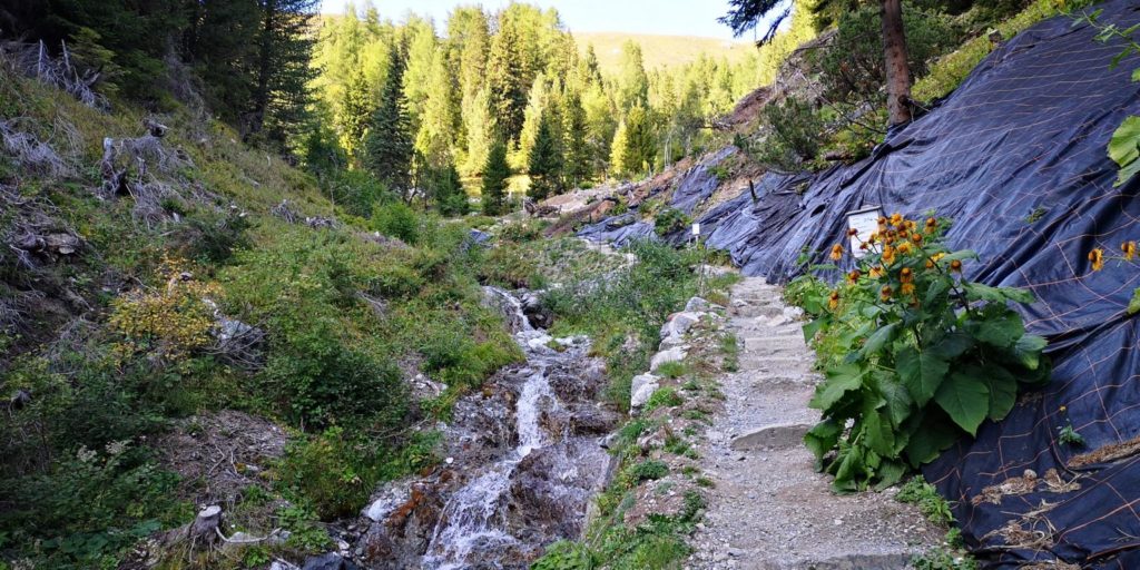 https://mdw-travel-data-us-east-1.s3.amazonaws.com/img/country/Switzerland/Alpinum-Schatzalp/img_00.jpg