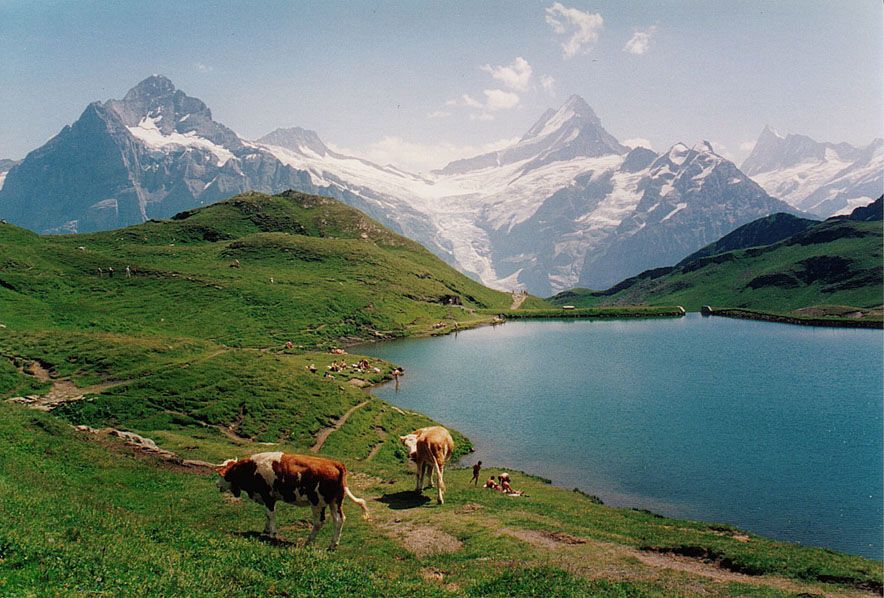 https://mdw-travel-data-us-east-1.s3.amazonaws.com/img/country/Switzerland/Bachalpsee/img_01.jpg