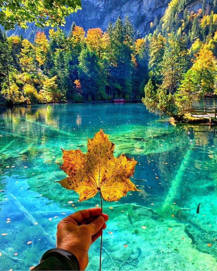 https://mdw-travel-data-us-east-1.s3.amazonaws.com/img/country/Switzerland/Blausee-Nature-Park/img_02.jpg