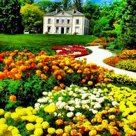 https://mdw-travel-data-us-east-1.s3.amazonaws.com/img/country/Switzerland/Botanical-Garden-Zurich/img_02.jpg