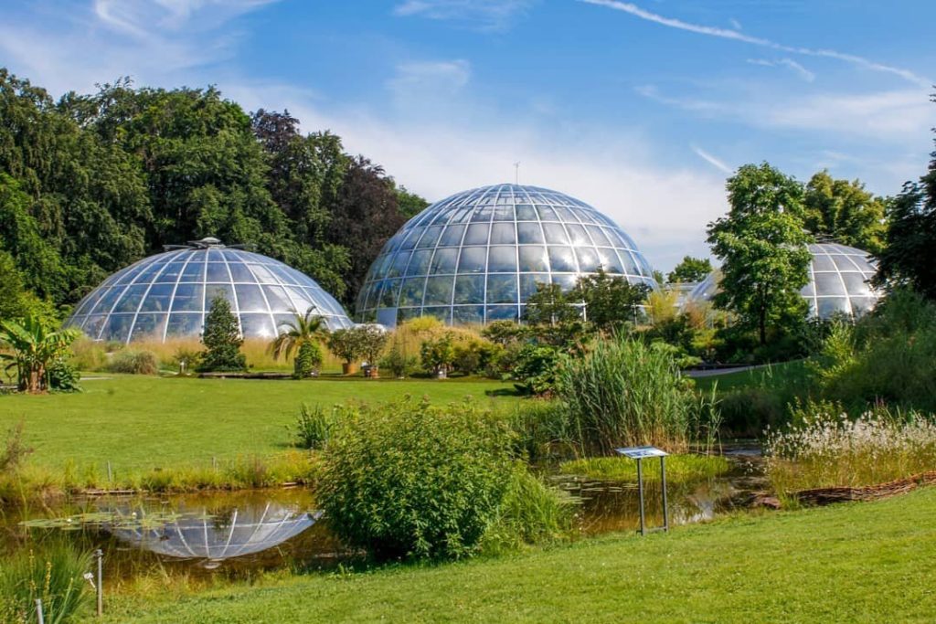 https://mdw-travel-data-us-east-1.s3.amazonaws.com/img/country/Switzerland/Botanical-Garden/img_02.jpg
