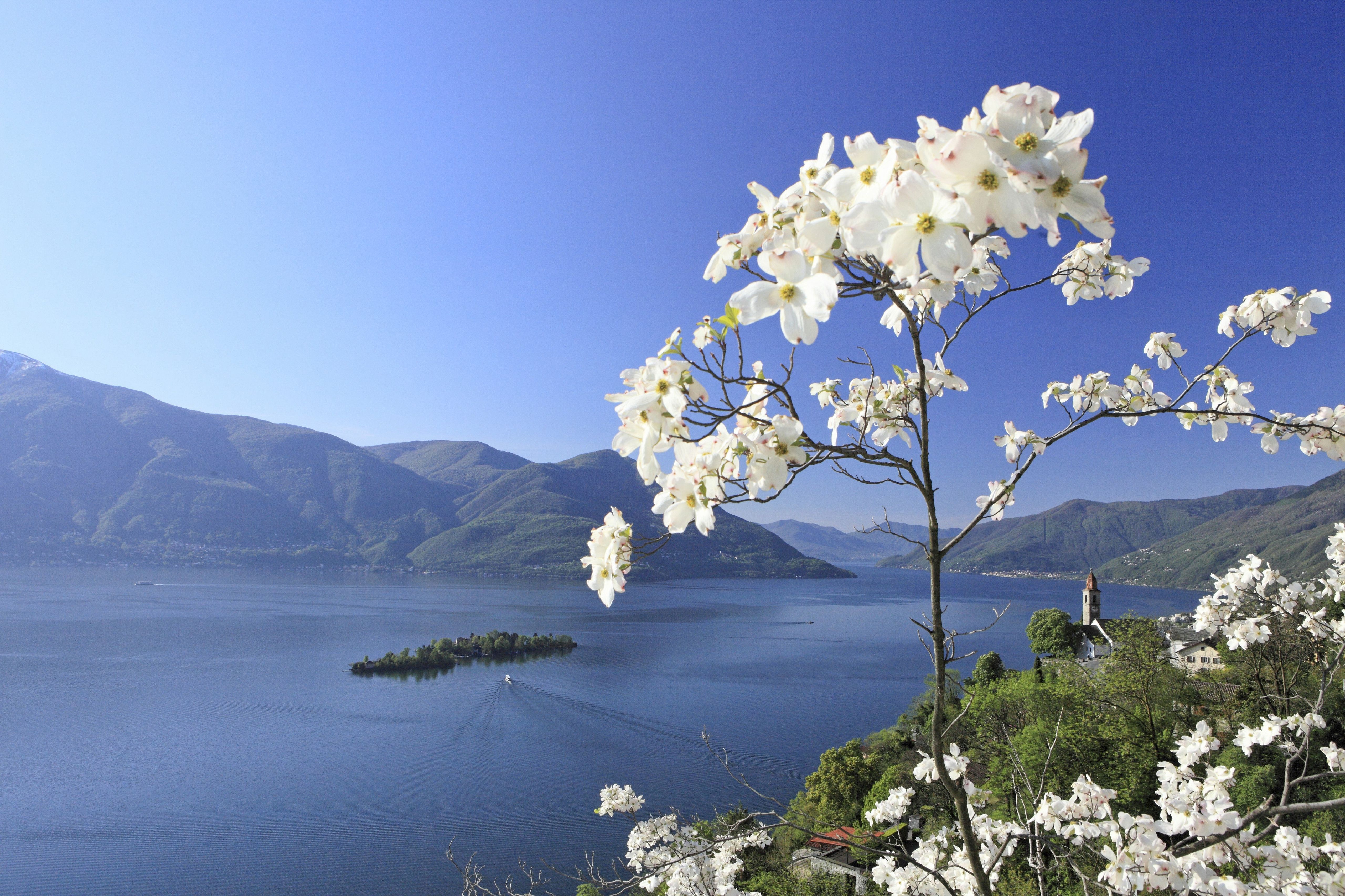 https://mdw-travel-data-us-east-1.s3.amazonaws.com/img/country/Switzerland/Brissago-Islands/img_04.jpg