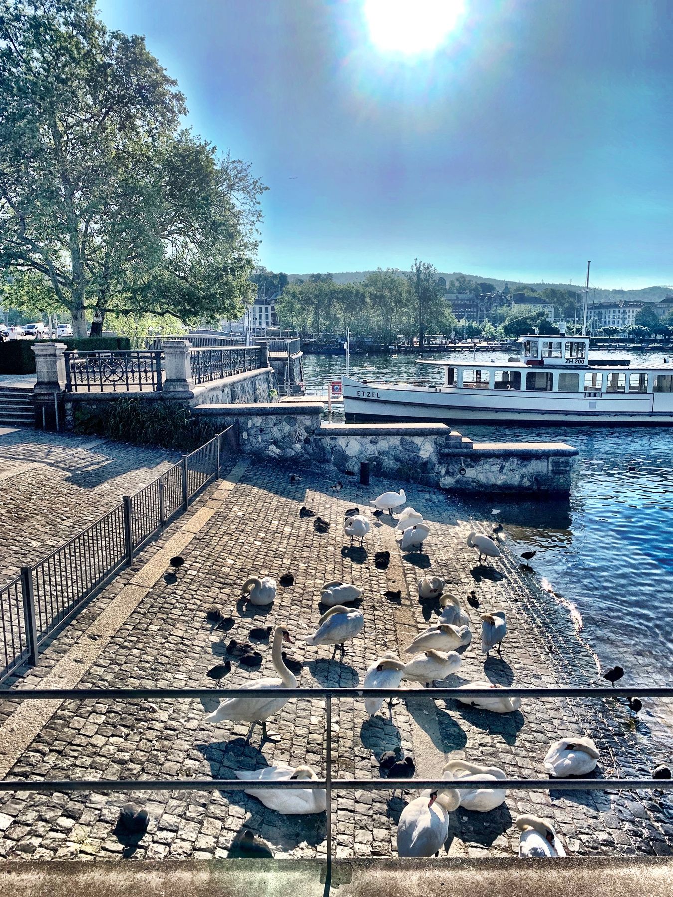 https://mdw-travel-data-us-east-1.s3.amazonaws.com/img/country/Switzerland/Burkliplatz/img_01.jpg