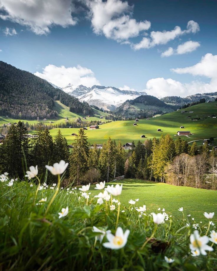 https://mdw-travel-data-us-east-1.s3.amazonaws.com/img/country/Switzerland/Domaine-de-Rougement/img_03.jpg