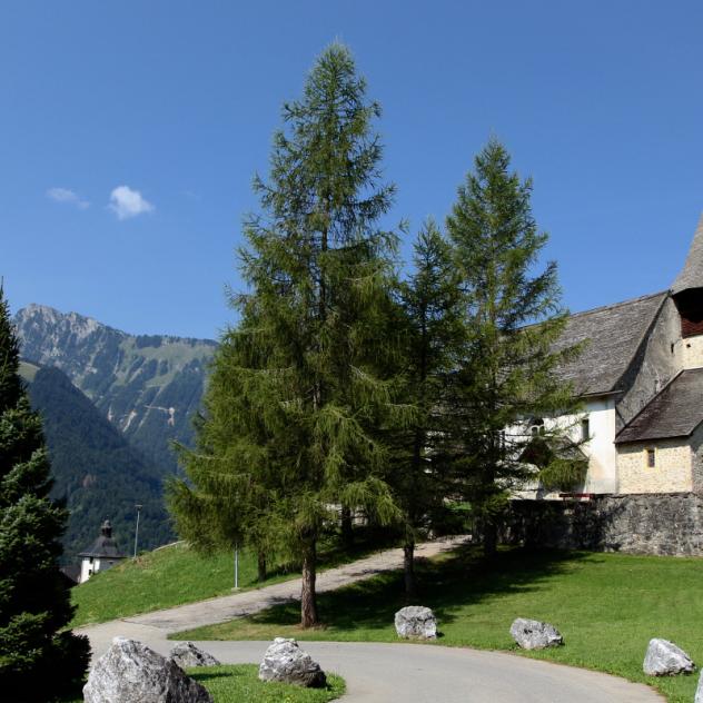 https://mdw-travel-data-us-east-1.s3.amazonaws.com/img/country/Switzerland/Espace-JB-Musee-du-Vieux-Pays-dEnhaut/img_03.jpg