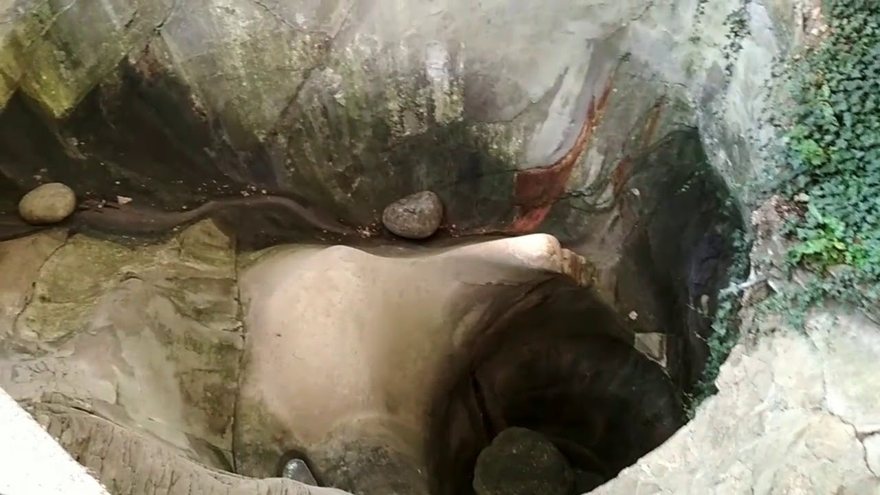 https://mdw-travel-data-us-east-1.s3.amazonaws.com/img/country/Switzerland/Glacier-Garden/img_03.jpg