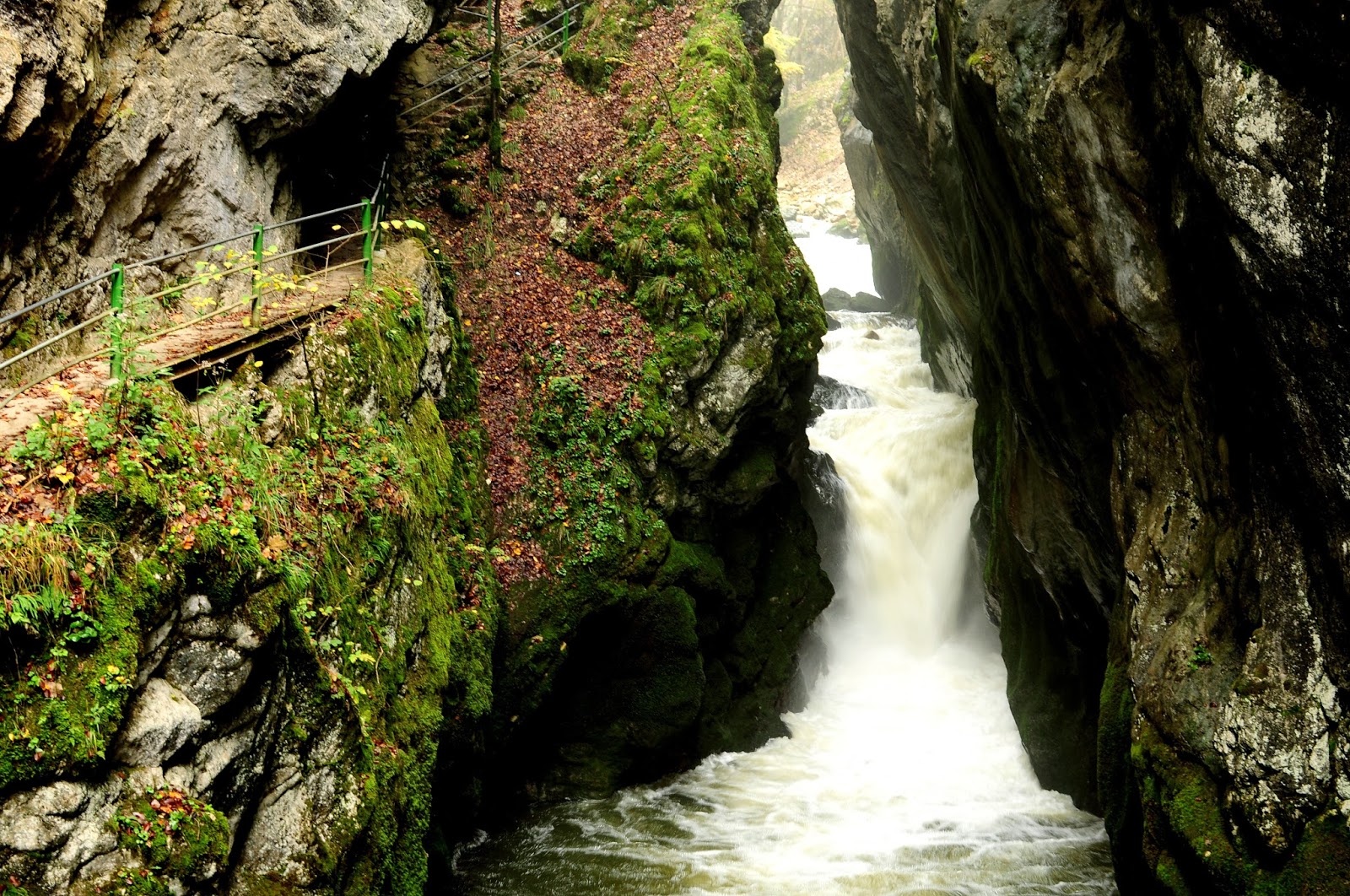 https://mdw-travel-data-us-east-1.s3.amazonaws.com/img/country/Switzerland/Gorges-de-lAreuse/img_02.jpg