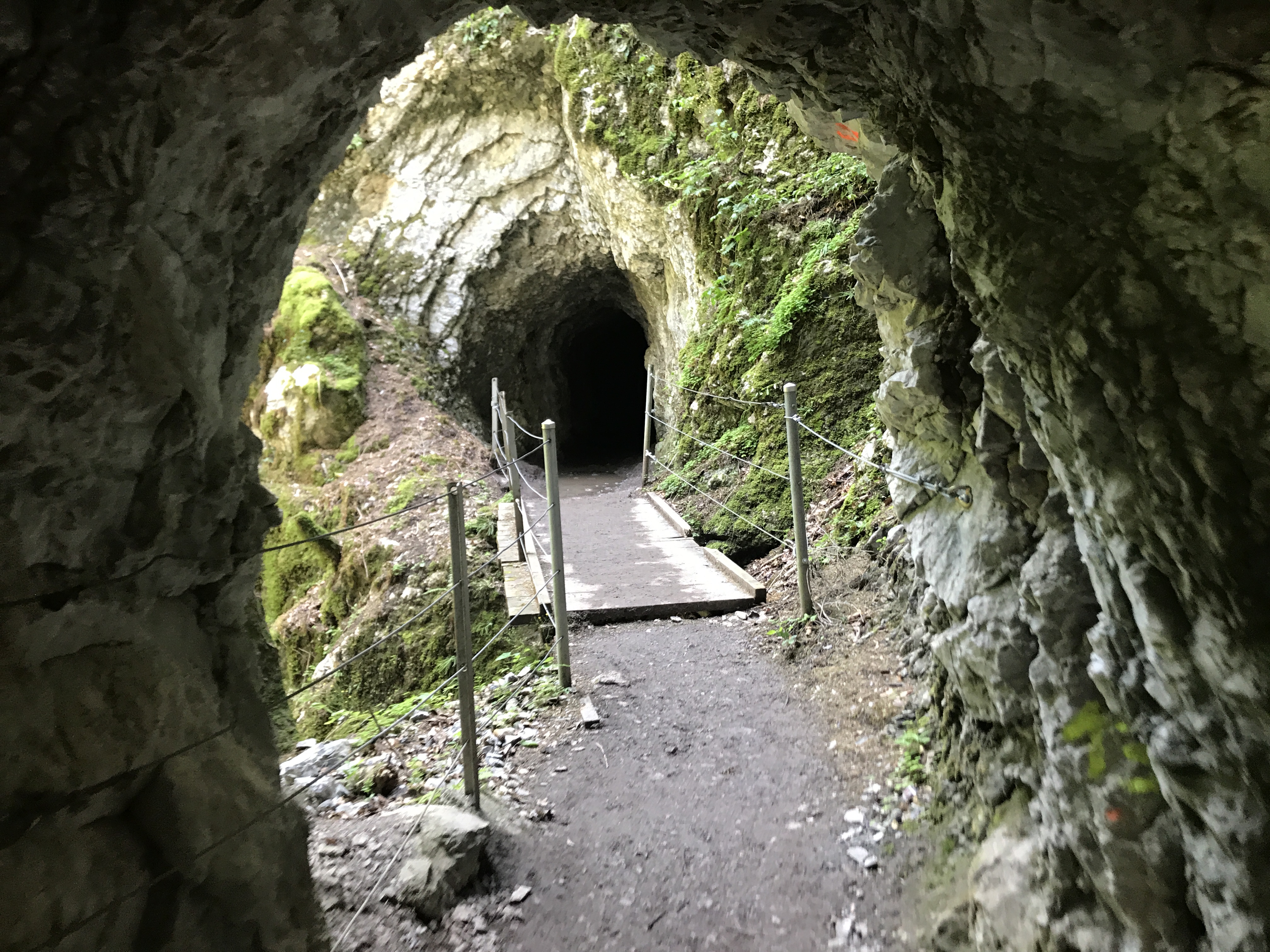 https://mdw-travel-data-us-east-1.s3.amazonaws.com/img/country/Switzerland/Gorges-de-la-Jogne/img_03.jpg