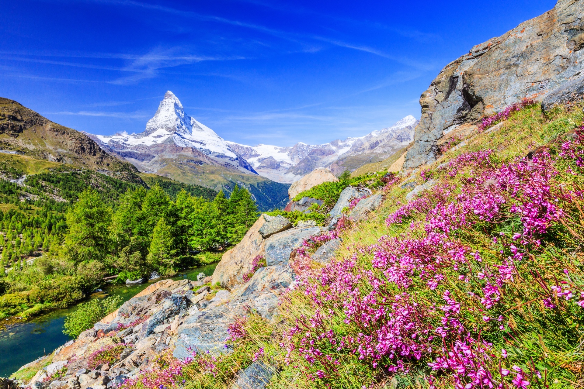 https://mdw-travel-data-us-east-1.s3.amazonaws.com/img/country/Switzerland/Grindjisee/img_02.jpg
