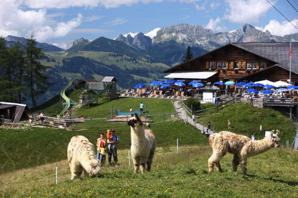 https://mdw-travel-data-us-east-1.s3.amazonaws.com/img/country/Switzerland/Gstaad-Wispile/img_03.jpg