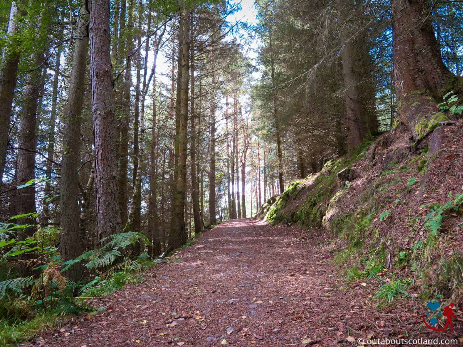 https://mdw-travel-data-us-east-1.s3.amazonaws.com/img/country/Switzerland/Hermitage-Forest/img_02.jpg