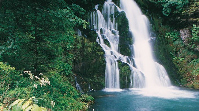 https://mdw-travel-data-us-east-1.s3.amazonaws.com/img/country/Switzerland/Jaunbach-Gorges/img_01.jpg