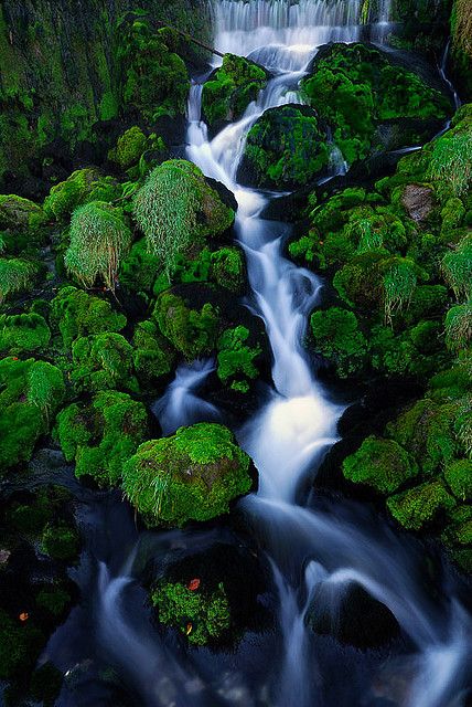 https://mdw-travel-data-us-east-1.s3.amazonaws.com/img/country/Switzerland/Jaunbach-Gorges/img_02.jpg