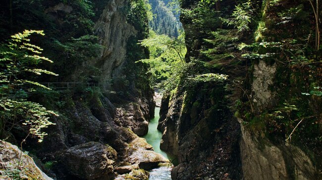 https://mdw-travel-data-us-east-1.s3.amazonaws.com/img/country/Switzerland/Jaunbach-Gorges/img_03.jpg