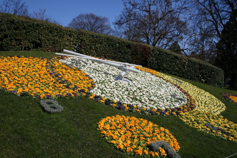 https://mdw-travel-data-us-east-1.s3.amazonaws.com/img/country/Switzerland/LHorloge-Fleurie/img_01.jpg