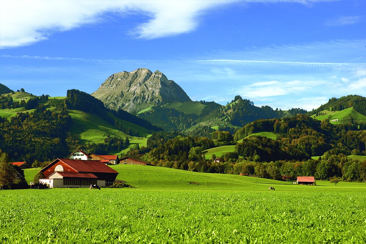 https://mdw-travel-data-us-east-1.s3.amazonaws.com/img/country/Switzerland/La-Gruyere-AOP/img_03.jpg