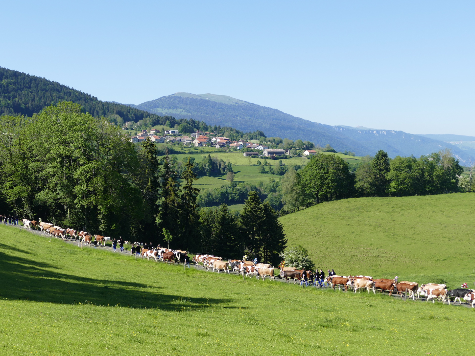 https://mdw-travel-data-us-east-1.s3.amazonaws.com/img/country/Switzerland/La-Petite-Joux/img_02.jpg