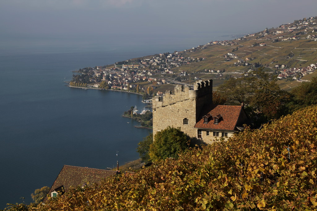 https://mdw-travel-data-us-east-1.s3.amazonaws.com/img/country/Switzerland/La-Tour-de-Marsens/img_01.jpg
