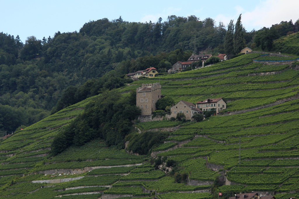 https://mdw-travel-data-us-east-1.s3.amazonaws.com/img/country/Switzerland/La-Tour-de-Marsens/img_02.jpg