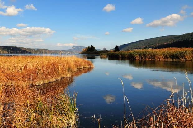 https://mdw-travel-data-us-east-1.s3.amazonaws.com/img/country/Switzerland/Lac-de-Joux/img_03.jpg